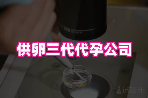 杭州助孕网站 2