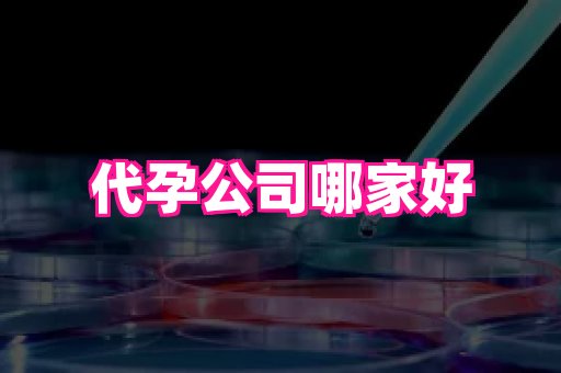 杭州助孕网站 4